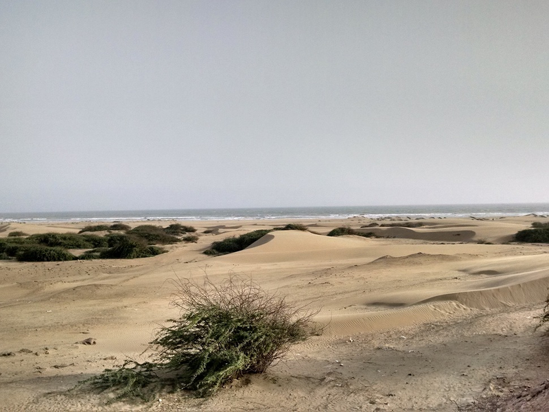 Illustration for article titled We Took A Beat Up Suzuki 500 KMS To Visit A Beach